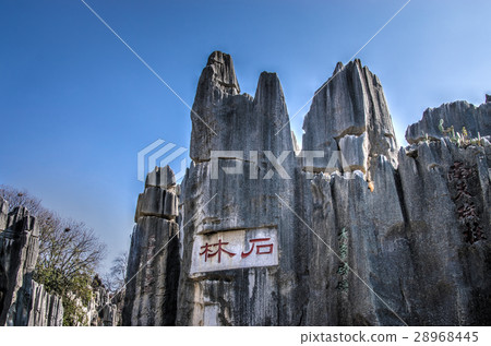Kunming city stone forest 28968445