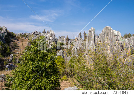 昆明市石林 28968451