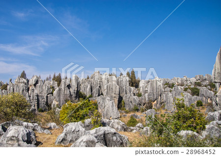 昆明市石林 28968452