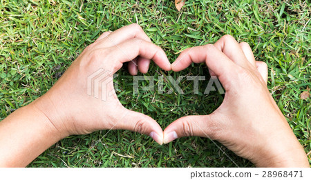 Closeup hand heart shaped on green grass for love Closeup hand heart shaped on green grass for love 28968471