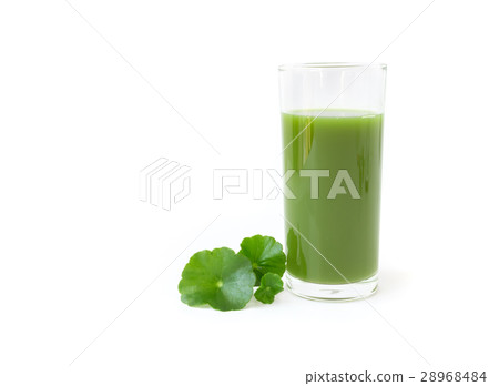 Gotu kola's leafs drink on white background 28968484