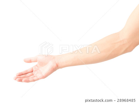 Man arm with blood veins on white background Man arm with blood veins on white background 28968485