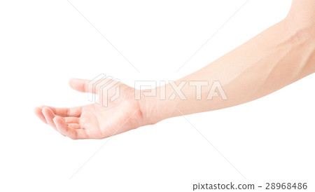Man arm with blood veins on white background 28968486