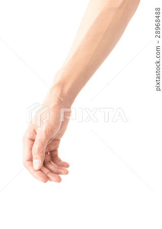 Man arm with blood veins on white background 28968488
