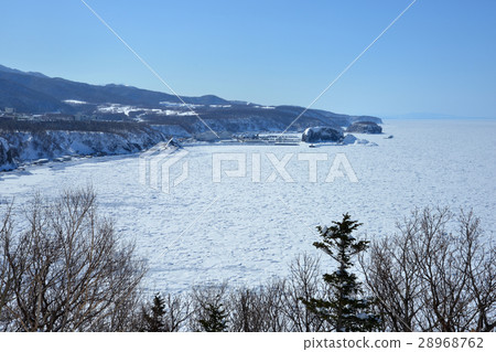 知床的浮冰 知床的浮冰 28968762