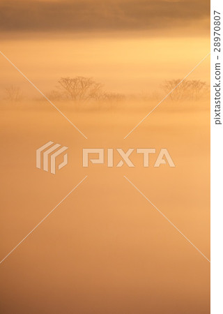 Sunrise 28970807