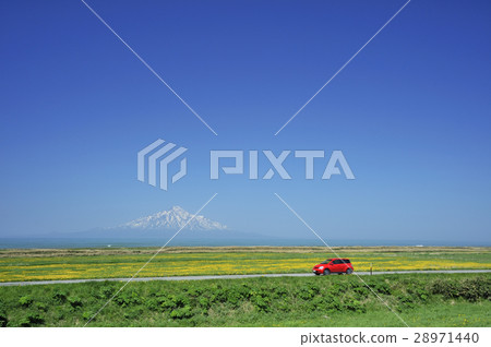 春天開車 28971440