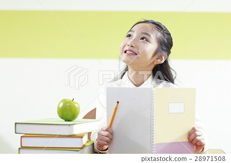 Elementary school student Elementary school student 28971508