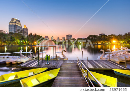 duck pedal boat in Lumphini park Thailand duck pedal boat in Lumphini park Thailand 28971665