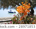 Flowers and ships 28971853