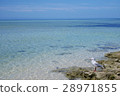 A bird overlooking the sea 28971855