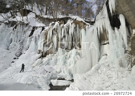 Frozen seven-row Otaki 28972724