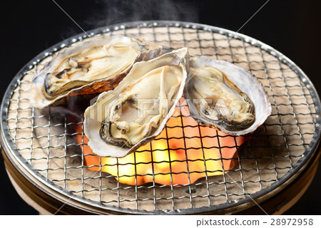 Grilled oysters 28972958