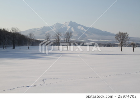 早上山 28974702