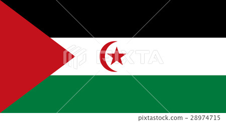 Official vector flag of Western Sahara . 28974715