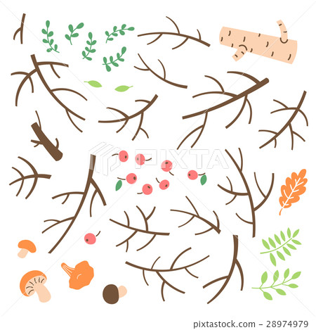 Set of branches, twigs, sticks drawn in a simple 28974979