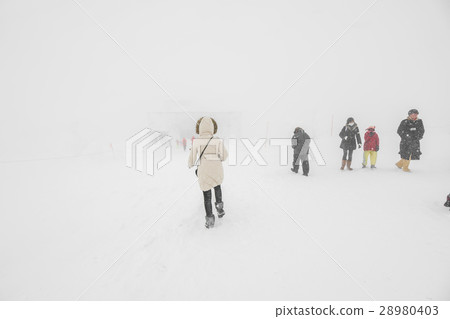 28980403
