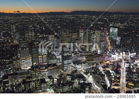 Shinjuku sub-city center / aerial photograph, aerial photograph 28981695