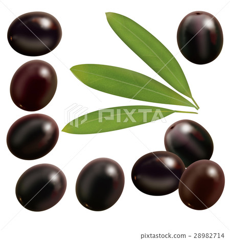 Olive 2 bara 28982714