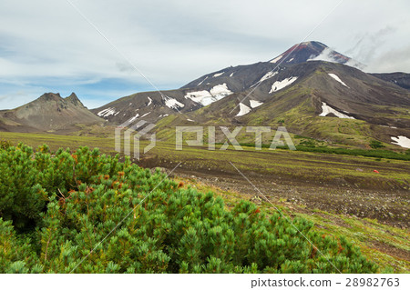 Road along dry river to Avachinskaya group Volcano Road along dry river to Avachinskaya group Volcano 28982763