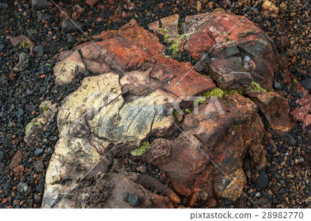 Frozen volcanic emissions covered with moss. North 28982770