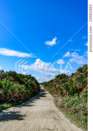 Okinawa Prefecture Kujakushima Road leading to Cape Cape 28982883