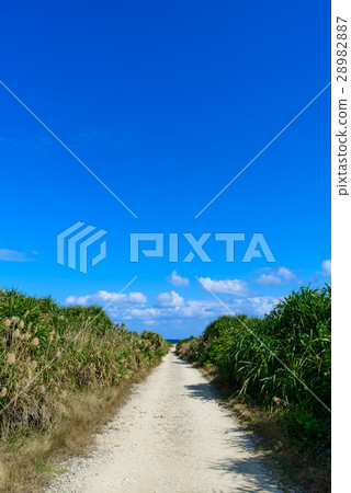 Okinawa Prefecture Kujakushima Road leading to Cape Cape 28982887