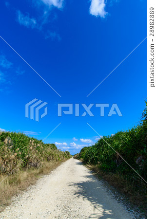 Okinawa Prefecture Kujakushima Road leading to Cape Cape 28982889