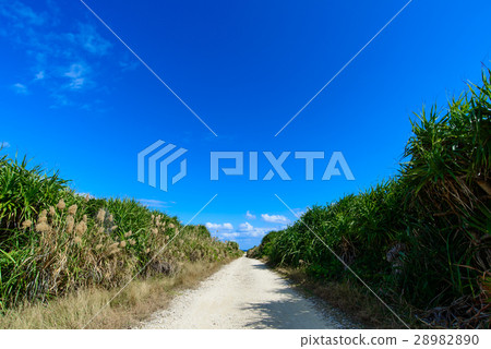 Okinawa Prefecture Kujakushima Road leading to Cape Cape 28982890