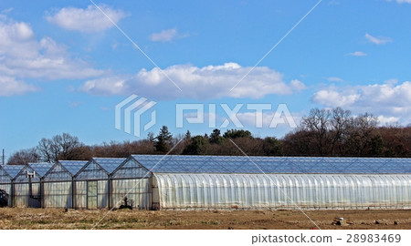 Agricultural plastic house Agricultural plastic house 28983469