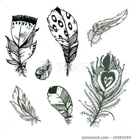 Hand drawn vector painted bird feathers isolated - Stock Illustration ...