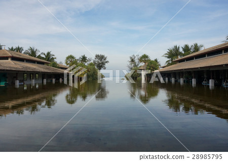 The pool 28985795