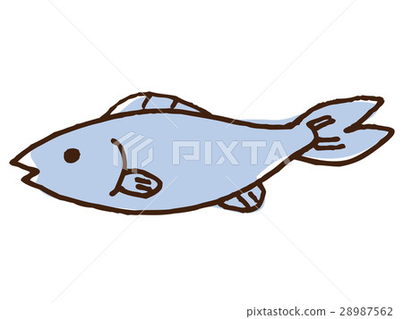 魚圖 28987562