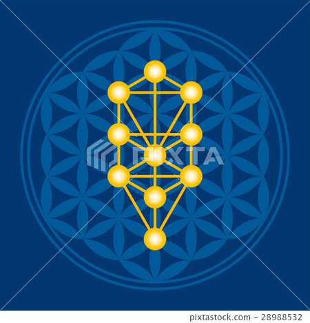 Golden Flower of Life in Tree of Life illustration 28988532