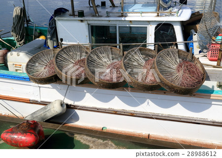 釣魚 28988612