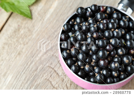 black currant berries black currant berries 28988778