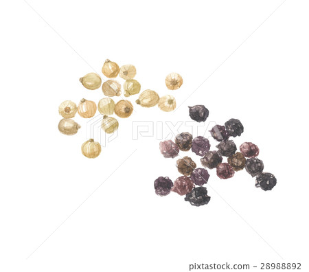 胡椒白色和黑胡椒 28988892