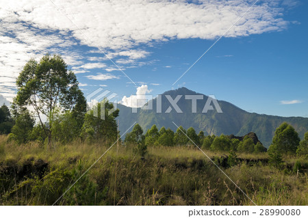 Balinese Island Kintamani Takahara At the foot of Mount Batur 28990080