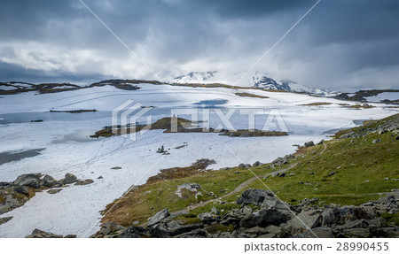 Snowy mountain plateau, Sognefjellet, Norway Snowy mountain plateau, Sognefjellet, Norway 28990455