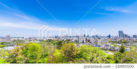 從仙台城堡廢墟的仙台市視圖 28990500
