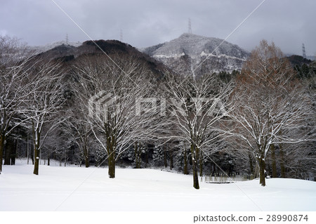 雪樹公園 雪樹公園 28990874