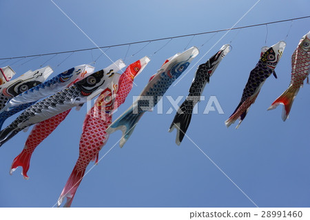 Carp streamer 28991460