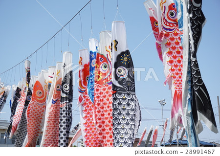 鯉魚旗 鯉魚旗 28991467