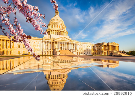 Cherry blossom in Washington DC 28992910