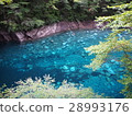 Yushin Blue 28993176