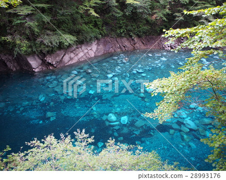 Yushin Blue Yushin Blue 28993176
