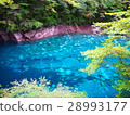 Yushin Blue 28993177