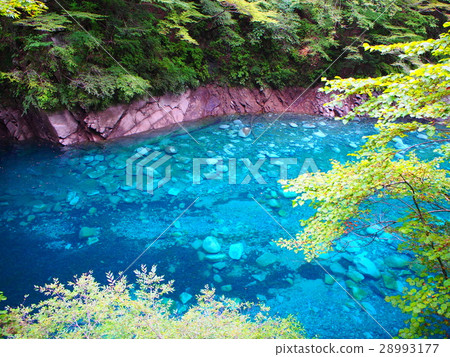 Yushin Blue Yushin Blue 28993177