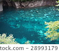 Yushin Blue 28993179