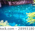 Yushin Blue 28993180